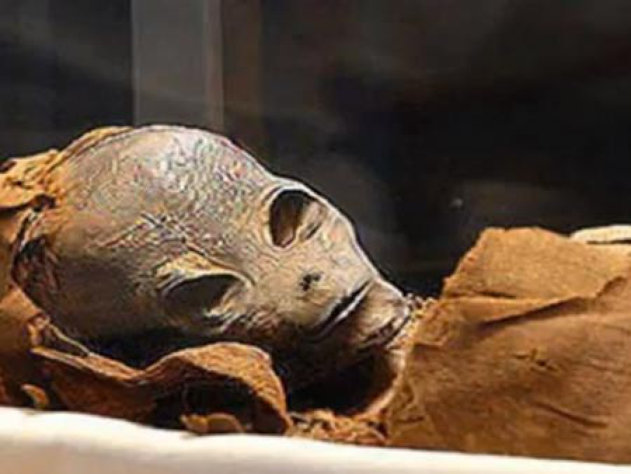 ΑΝΑΚΑΛΥΨΗ που ΣΟΚΑΡΕΙ: Μυστηριώδες πλάσμα στην Αίγυπτο θάφτηκε με τιμές Φαραώ!! &quot;Ήρθε από τα αστέρια&quot; λένε οι επιγραφές! (BINTEO)
