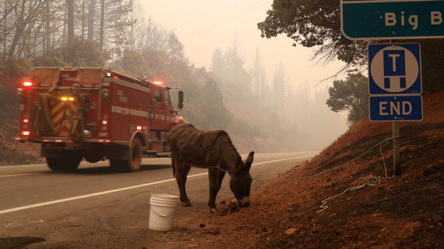 Τουλάχιστον 9 νεκροί από τις μεγάλες πυρκαγιές στην Καλιφόρνια