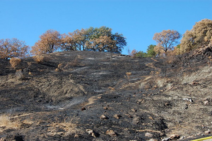 Καλιφόρνια: Στους 48 οι νεκροί από την πυρκαγιά