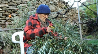 Στους 10 πιο &quot;γερασμένους&quot; νομούς της Ευρώπης οι νομοί Ευρυτανίας, Γρεβενών, Άρτας και Σερρών