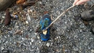 Κομμένα πόδια μέσα σε παπούτσια ξεβράζονται εδώ και 9 χρόνια στη δυτική Αμερική. Πολλές θεωρίες -Καμία απάντηση