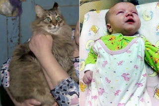 Άφησαν βρέφος στα σκουπίδια και το έσωσε μια γάτα