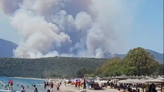 Μεγάλη φωτιά στην Ανατολική Μάνη - Ενισχύθηκαν οι πυροσβεστικές δυνάμεις