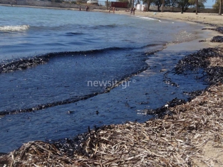 Η πετρελαιοκηλίδα της Σαλαμίνας &quot;μαύρισε&quot; Πειραϊκή, Φρεαττύδα, Καλαμάκι, Αγιο Κοσμά, Ελληνικό ακόμα και Γλυφάδα - Έλεγχοι από το Λιμενικό κατά μήκος όλης της ακτογραμμής στα νότια προάστια της Αττικής